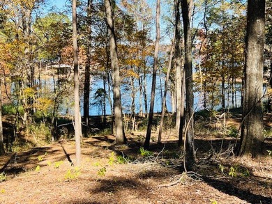 A Beautiful building site on this 1.69 acre waterfront lot - photo 3