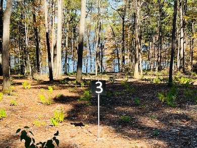 A Beautiful building site on this 1.69 acre waterfront lot - photo 4