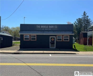 Lake Commercial For Sale in Ellicott, New York