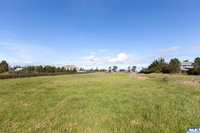 This is your opportunity to own the last available lot on scenic - photo 14