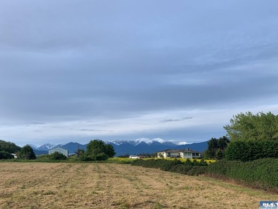 This is your opportunity to own the last available lot on scenic - photo 17