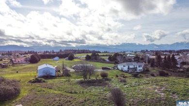 This is your opportunity to own the last available lot on scenic - photo 18