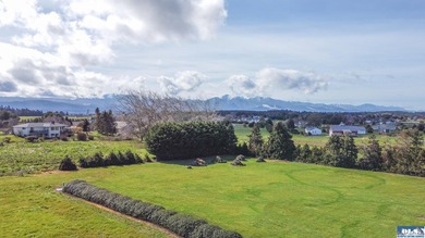 This is your opportunity to own the last available lot on scenic - photo 19