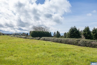 This is your opportunity to own the last available lot on scenic - photo 20