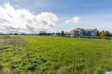 This is your opportunity to own the last available lot on scenic - photo 21