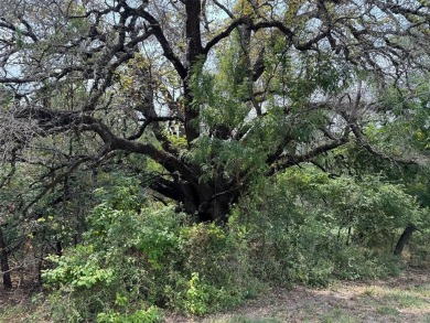 Lake Whitney Lot For Sale in Whitney Texas