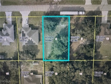 Lehigh Acres Area Lot For Sale in Lehigh Acres Florida