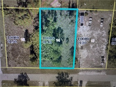Lehigh Acres Area Lot For Sale in Lehigh Acres Florida