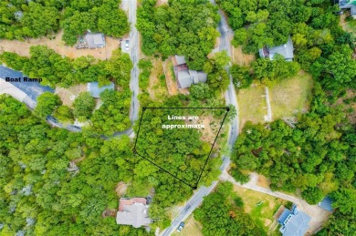 Lake Lot Sale Pending in Pottsboro, Texas