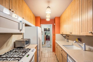Welcome to the Largest One Bedroom, Junior 4 Luxury Apartment at - photo 9