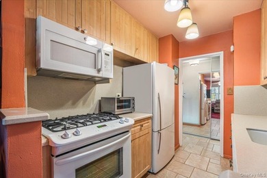 Welcome to the Largest One Bedroom, Junior 4 Luxury Apartment at - photo 10