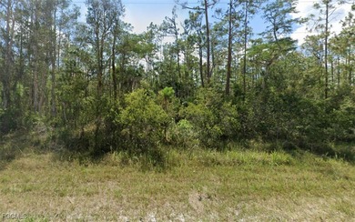 Lehigh Acres Area Lot For Sale in Lehigh Acres Florida