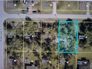 Lehigh Acres Area Lot For Sale in Lehigh Acres Florida