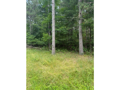Additional listing photo 1