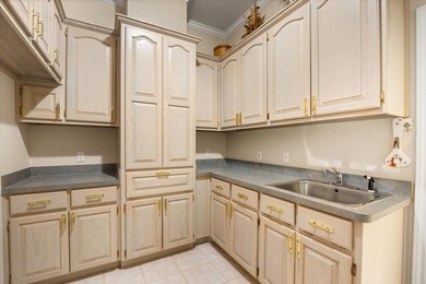 Exceptional Main Body Lakefront in highly desirable DeCordova - photo 18