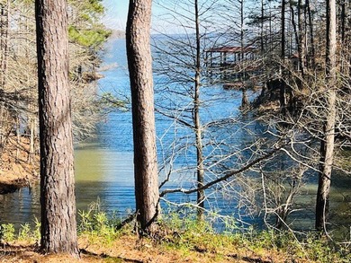 A large waterfront lot (1.529 acres) in Hamilton Landing at - photo 2