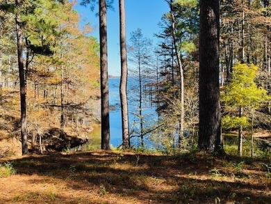 A large waterfront lot (1.529 acres) in Hamilton Landing at - photo 3