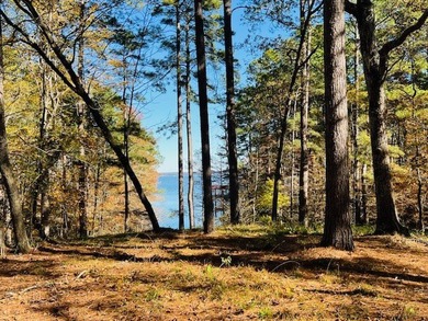 A large waterfront lot (1.529 acres) in Hamilton Landing at - photo 4