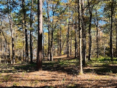 A large waterfront lot (1.529 acres) in Hamilton Landing at - photo 5