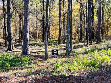 A large waterfront lot (1.529 acres) in Hamilton Landing at - photo 6