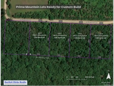 (private lake, pond, creek) Lot For Sale in Wiederkehr Village Arkansas