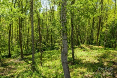 Lake Lot For Sale in Asheville, North Carolina