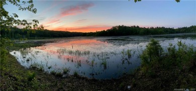 Lake Acreage For Sale in Killingly, Connecticut