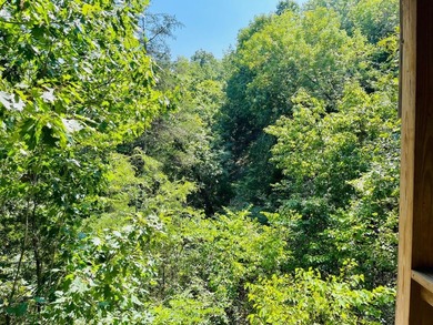 Developer's Dream with Breathtaking Ozark & City Views!Seize - photo 22