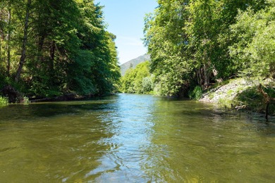 Amazing Applegate River frontage for fishing, kayaking, or