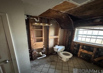 This 3-bedroom, 1-bathroom New Orleans East home on Bright Drive - photo 9