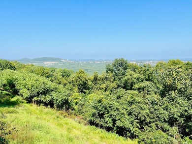 Developer's Dream with Breathtaking Ozark & City Views!Seize - photo 31