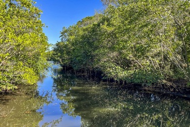 Outstanding New Price! This unique and highly sought-after - photo 42
