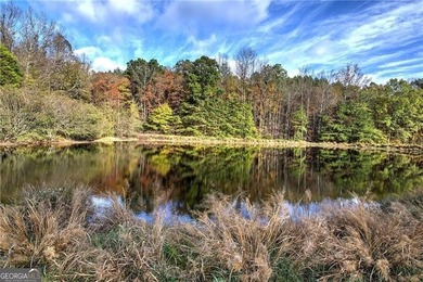 Welcome to a truly one-of-a-kind opportunity in the heart of - photo 47