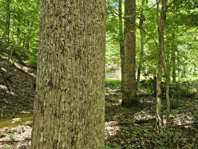 Lake Lot For Sale in Waterloo, Alabama