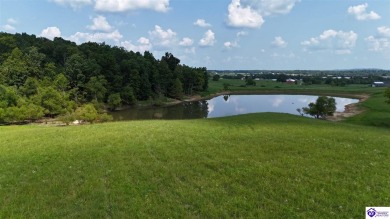 Lake Acreage For Sale in Clarkson, Kentucky