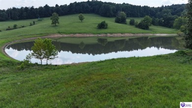 Lake Acreage For Sale in Clarkson, Kentucky