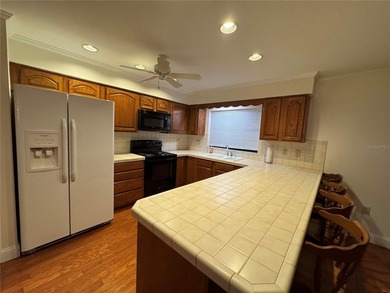 Charming 3-Bedroom Home with Deeded Lake Access on Clinch Lake - photo 2