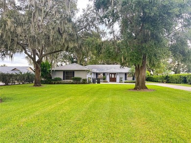 Charming 3-Bedroom Home with Deeded Lake Access on Clinch Lake - photo 10
