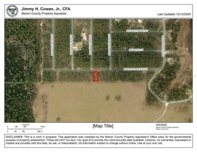 Bonable Lake Lot For Sale in Dunnellon Florida