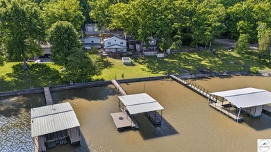 Beautiful lakefront home with breathtaking views of the Lake of - photo 6