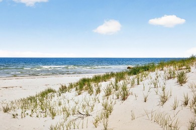 Rarely available in sought-after Sesuit Neck in East Dennis - photo 10