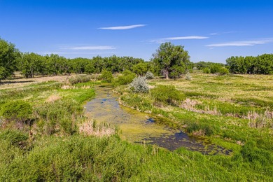 67 acres of South Platte River frontage in the heart of GMU 951 - photo 10