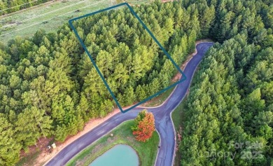 Lake Lot For Sale in Belmont, North Carolina