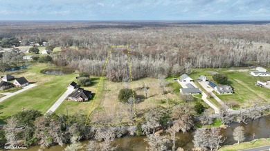 Lake Verret Acreage For Sale in Pierre Part Louisiana
