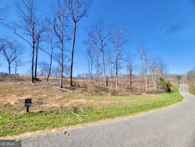 (private lake, pond, creek) Acreage For Sale in Ellijay Georgia