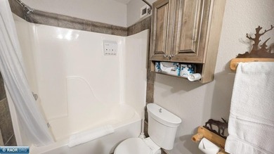 Enjoy four seasons of recreation with this fully furnished - photo 12