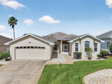 (private lake, pond, creek) Home For Sale in Leesburg Florida