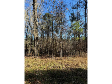 Lake Lot For Sale in Broaddus, Texas
