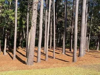 Step into this beautifully landscaped Acadia model, meticulously - photo 3