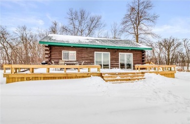 Lake Lizzie Home For Sale in Lida Twp Minnesota
